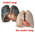 Thumbnail for version as of 05:22, 27 March 2009
