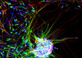 Thumbnail for version as of 00:54, 18 February 2011