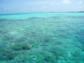 Maldives reefs