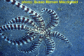 Thumbnail for version as of 22:10, 28 October 2007