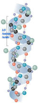 AlphaHelixProtein.jpg