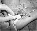 Thumbnail for version as of 03:38, 18 March 2013