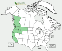Grand fir habitat map.png