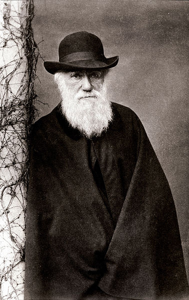 Ficheiro:CharlesDarwin.jpg
