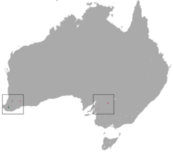 Numbat range.png