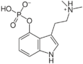 500px-Psilocybn.svg (1).png