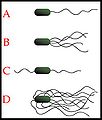 Thumbnail for version as of 09:49, 24 October 2009