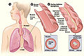Thumbnail for version as of 20:33, 24 March 2009