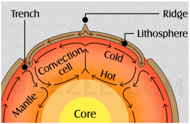 Convection cells.PNG