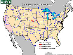 Cipangopaludina chinensis range map.jpg