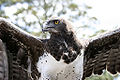 Thumbnail for version as of 03:10, 9 December 2009