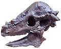 Thumbnail for version as of 00:37, 18 July 2010