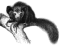 Thumbnail for version as of 09:36, 12 January 2015