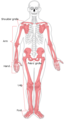 Thumbnail for version as of 07:32, 3 November 2011