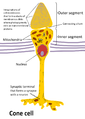 Thumbnail for version as of 05:56, 15 October 2014