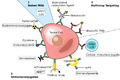 Thumbnail for version as of 03:49, 5 May 2015