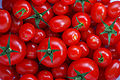 Thumbnail for version as of 04:55, 6 March 2009