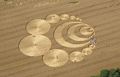 A crop circle in Switzerland (7/29/2007).
