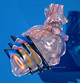 Thumbnail for version as of 09:49, 12 May 2010