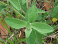 Thumbnail for version as of 00:55, 20 May 2013