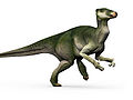 Iguanodon Family: Iguanodontidae