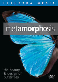 Metamorphosis.jpg