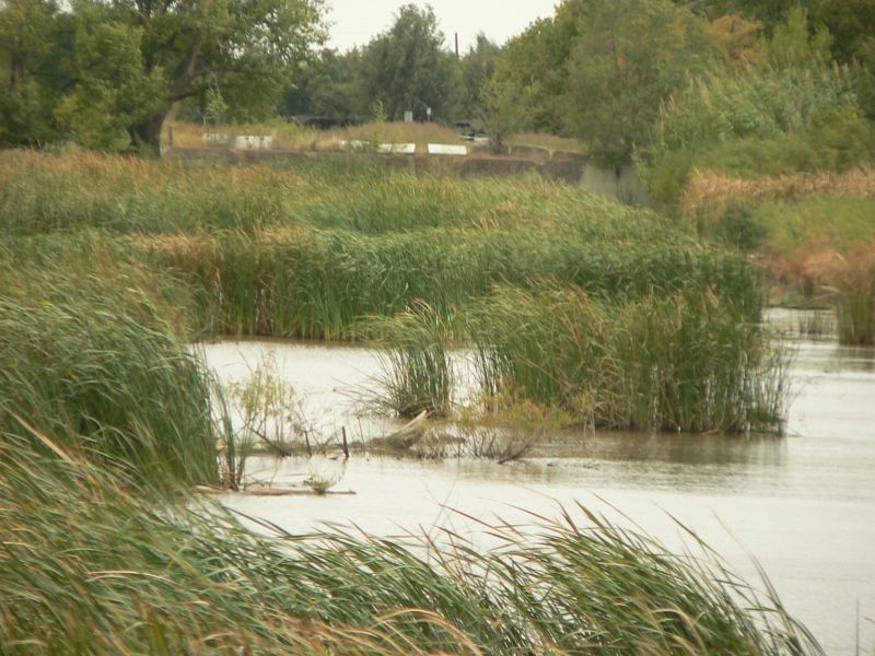 File:HABITAT.jpg