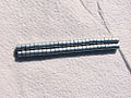 Thumbnail for version as of 00:01, 20 October 2008