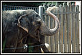 Thumbnail for version as of 07:23, 4 March 2010