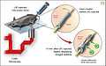 Thumbnail for version as of 22:24, 8 November 2009