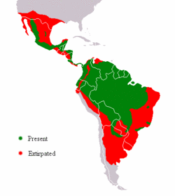 Jaguar Distribution.gif