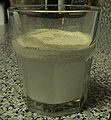 Brewers Yeast]] (Saccharomyces cerevisiae)