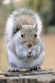 Thumbnail for version as of 00:49, 14 October 2014