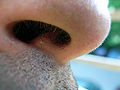 Thumbnail for version as of 00:58, 11 May 2010