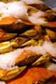 This is a picture of frozen crabs.