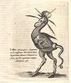 Cockatrice from Mundus Subterraneus by Athanasius Kircher, 1664.