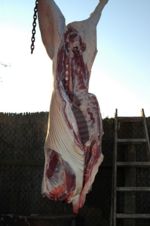 Skinned pig.jpg