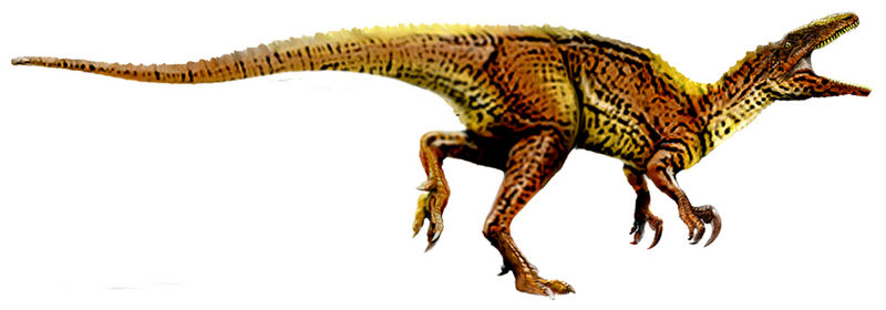 Файл:Australovenator.jpg