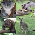 Thumbnail for version as of 02:36, 12 January 2015