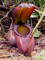 Thumbnail for version as of 18:04, 14 May 2017