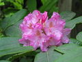 Thumbnail for version as of 01:20, 22 May 2013