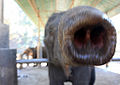 Thumbnail for version as of 08:58, 26 February 2010