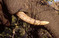 Thumbnail for version as of 19:47, 9 February 2016