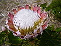Thumbnail for version as of 00:43, 9 May 2012