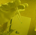 Thumbnail for version as of 02:19, 18 November 2011