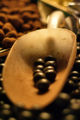 Chocolate Candy