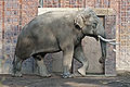 Thumbnail for version as of 08:56, 26 February 2010