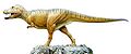 Tyrannosaurus Family: Tyrannosauridae