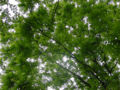 Thumbnail for version as of 15:10, 2 May 2007