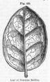 Thumbnail for version as of 22:19, 19 May 2013